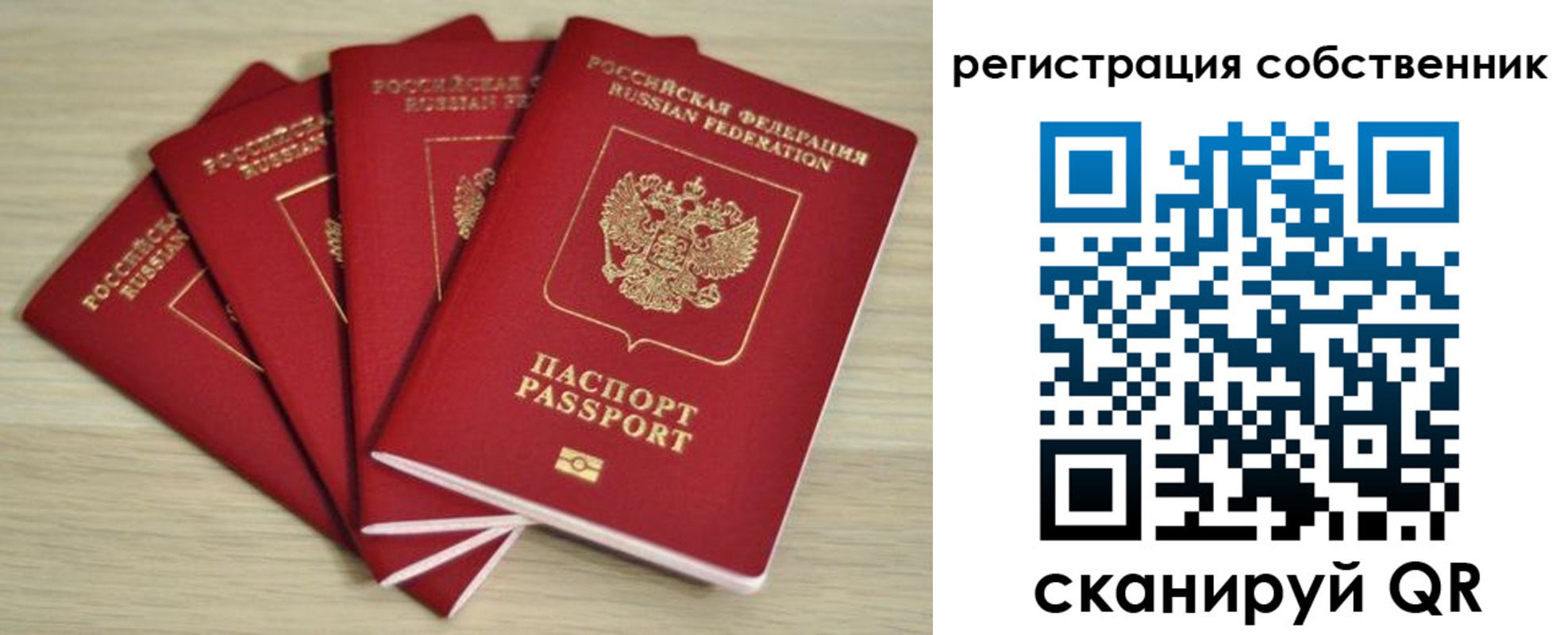 прописка регистрация в Александровске